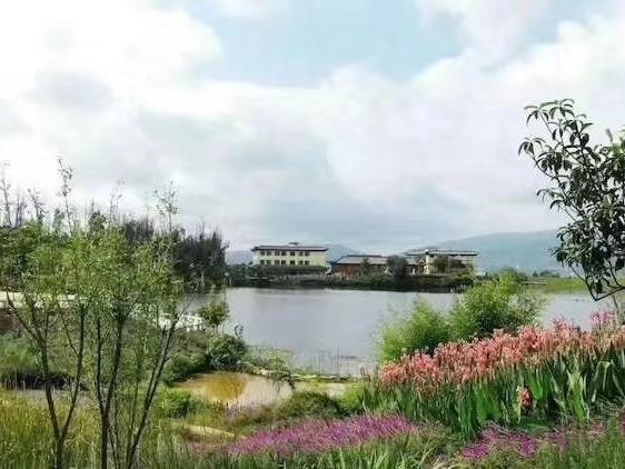 东华林公墓2025年清明周边垃圾桶位置